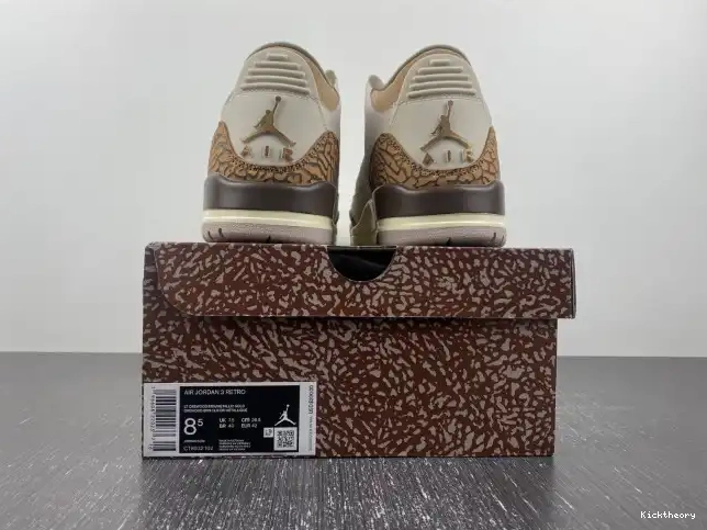 Kicktheory Air Jordan Palomino CT8532-102 3 0607